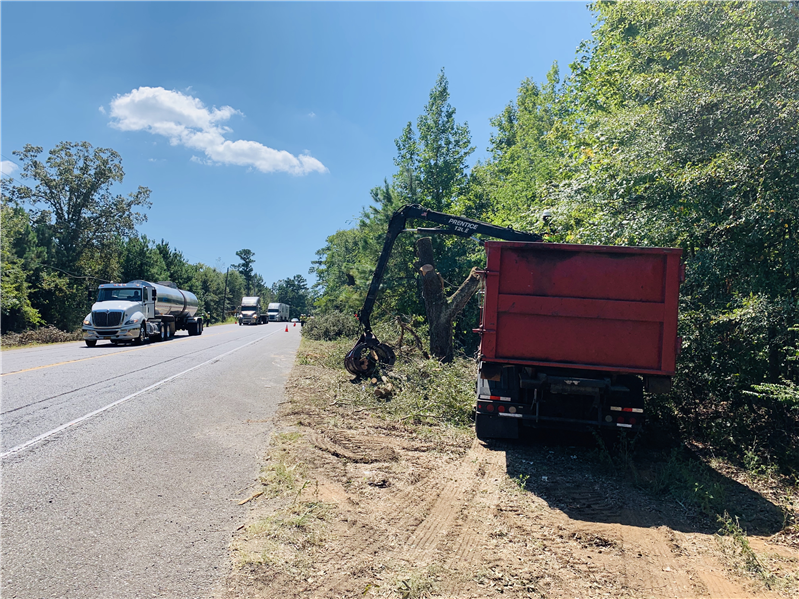 US 79 overlay and tree removal project
